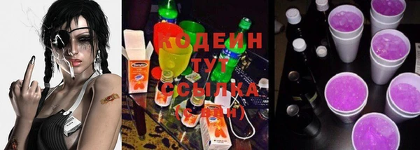 spice Богородск