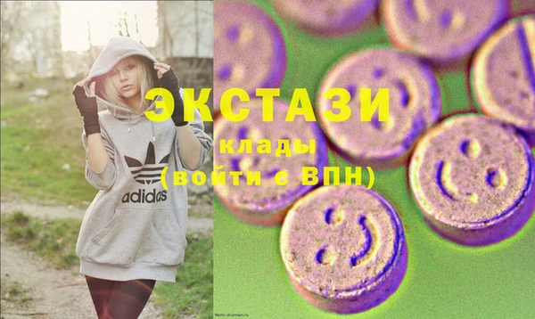 spice Богородск