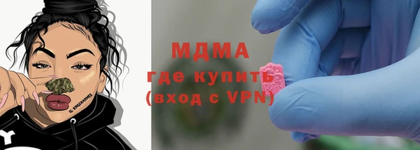 spice Богородск