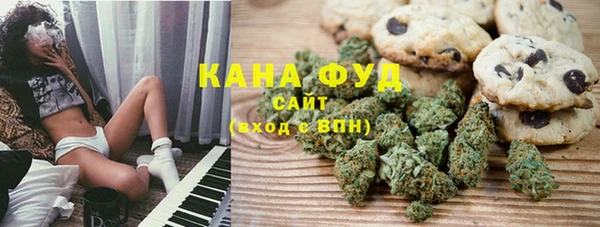 spice Богородск