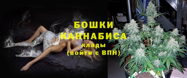 spice Богородск