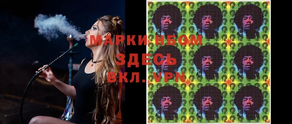 spice Богородск