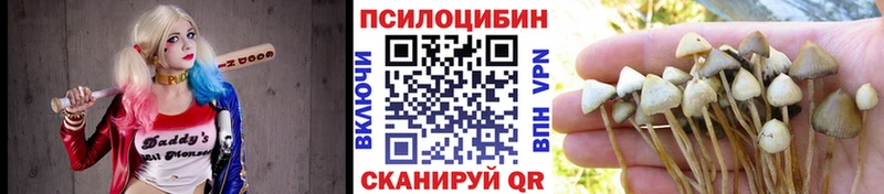 Галлюциногенные грибы мицелий  Купить  Петровск 